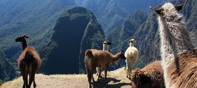20 интересных фактов о Перу
