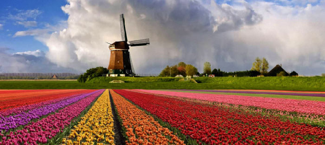 21 интересный факт о Нидерландах